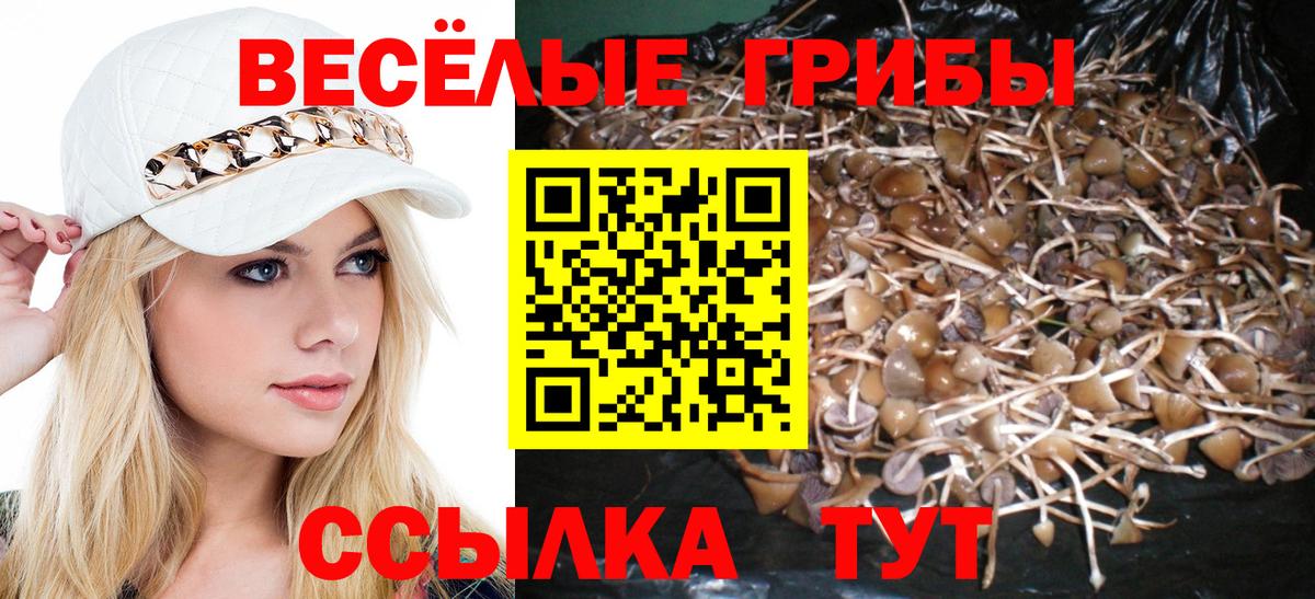 Псилоцибиновые грибы ЛСД  Вход с VPN  Псилоцибиновые грибы ЛСД  Архангельск 