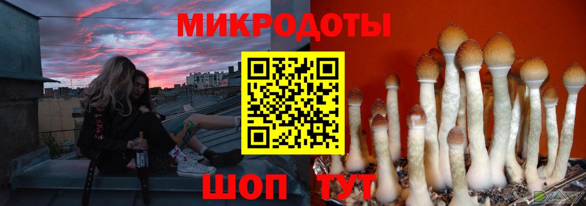 Псилоцибиновые грибы мицелий Архангельск